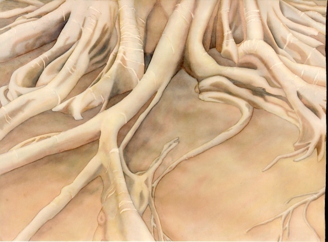Art: watercolor of tree roots